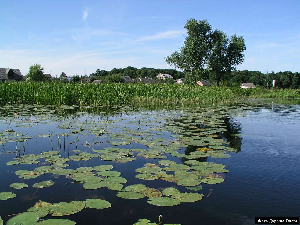 Любешів сучасний - Любешів