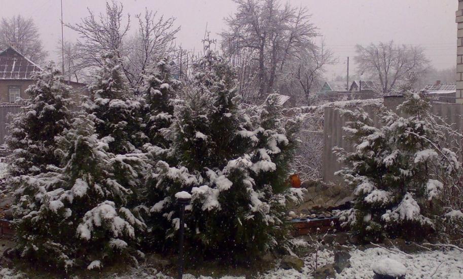 Зідьки з panoramio.com - Зідьки