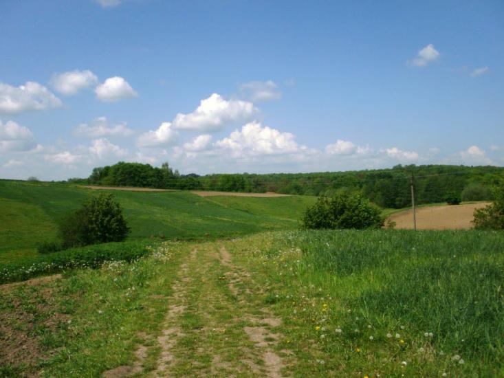 Чижівка з panoramio.com - Чижівка