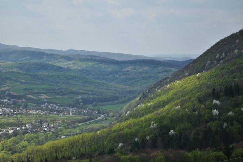 Свалява з panoramio.com - Свалява