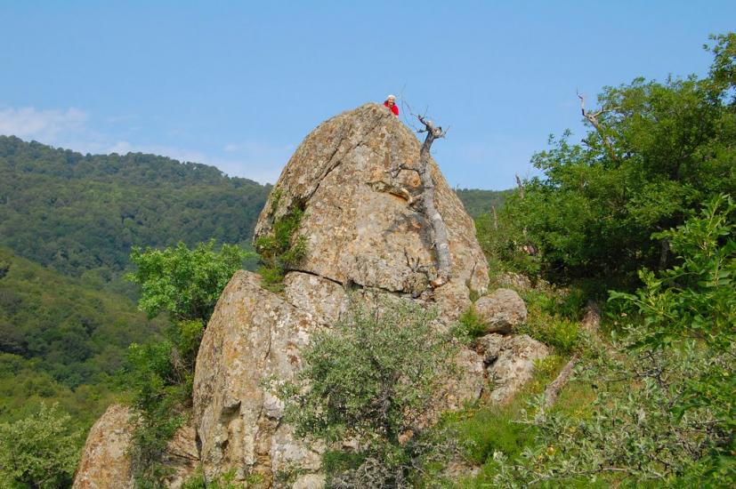 Виноградний з panoramio.com - Виноградний