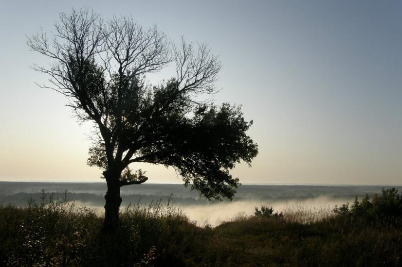 Малі Будища з panoramio.com - Малі Будища