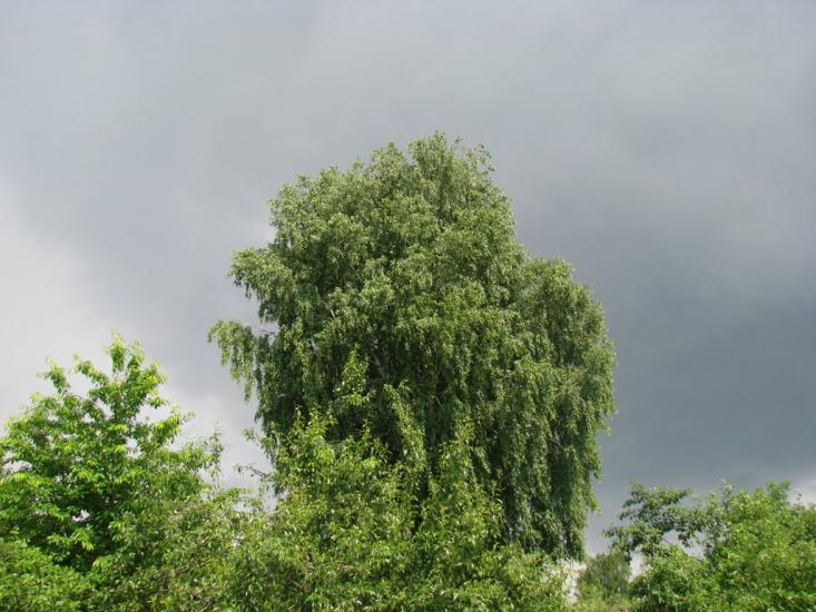 Судівка з panoramio.com - Судівка