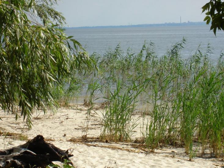 Чапаєвка з panoramio.com - Чапаевка