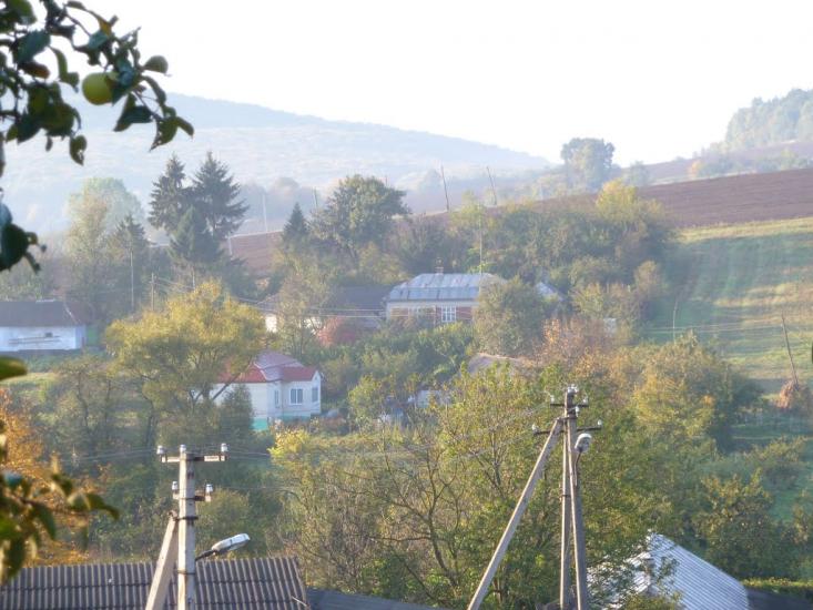 Добринів з panoramio.com - Dobryniv
