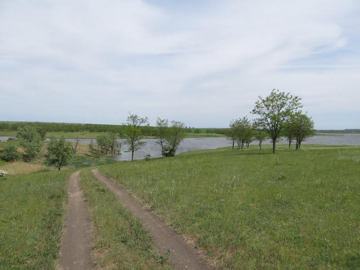 Макорти з panoramio.com - Макорти