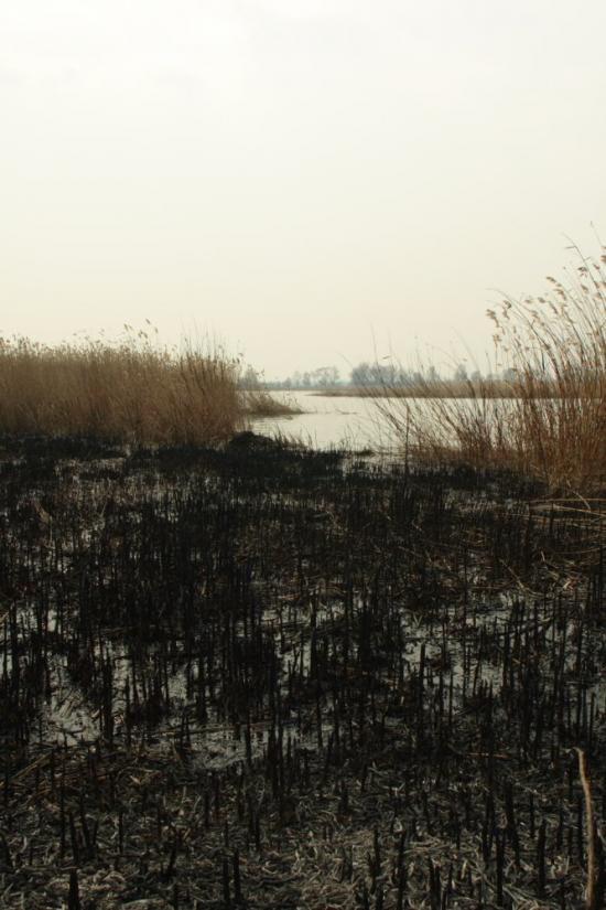 Леськи з panoramio.com - Леськи
