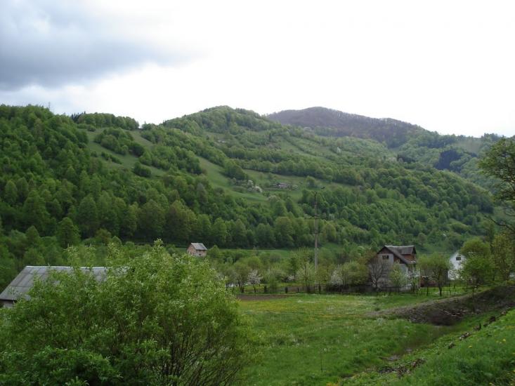 Кваси з panoramio.com - Квасы