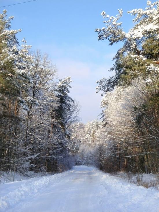 Костопіль з panoramio.com - Костополь