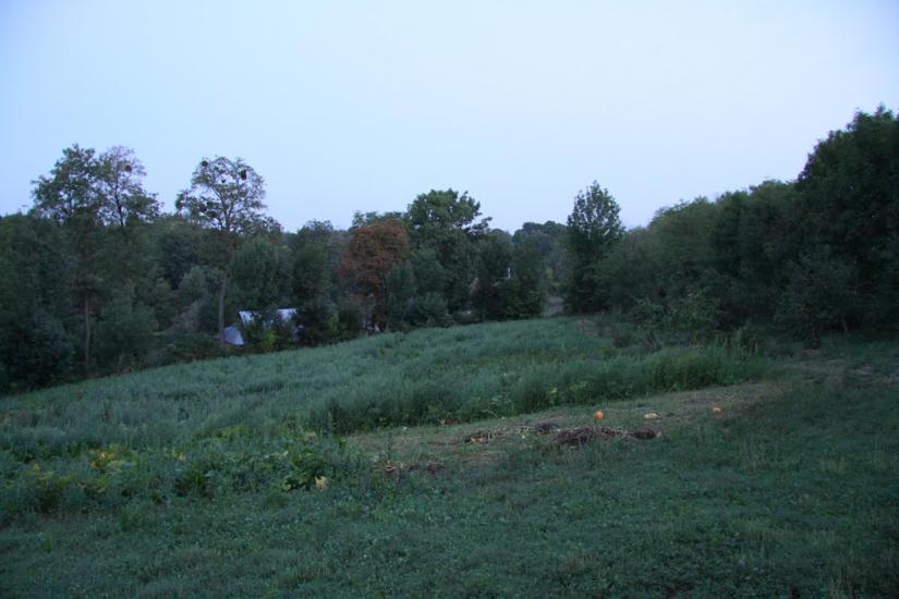 Бондурівка з panoramio.com - Бондуровка