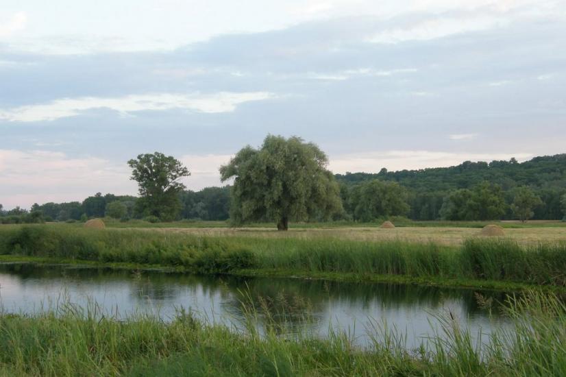 Вельбівка з panoramio.com - Velbivka