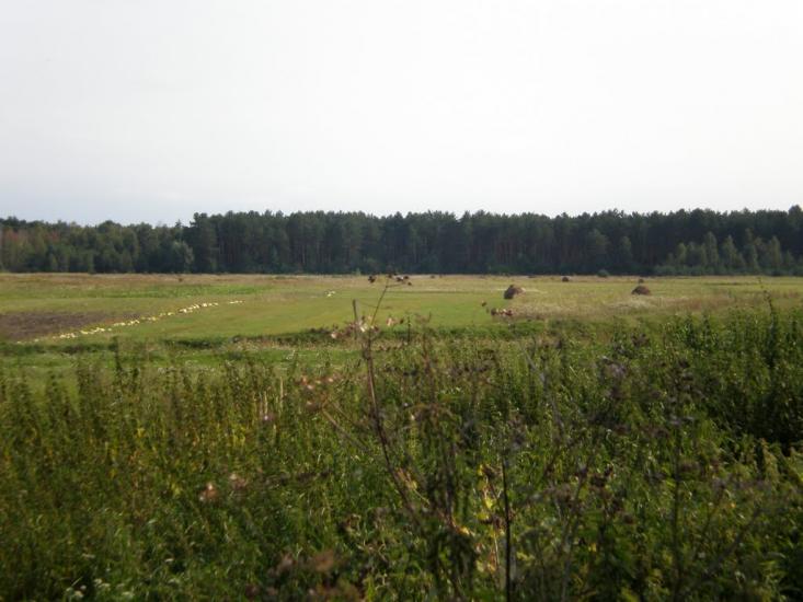 Облапи з panoramio.com - Облапы