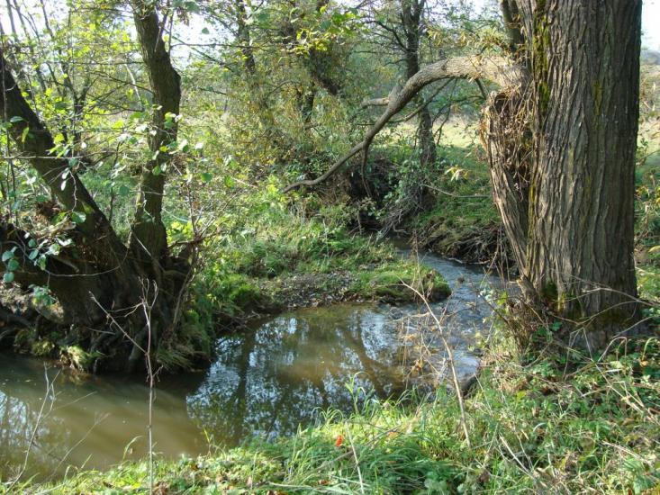 Лісна Слобідка з panoramio.com - Lisna Slobidka