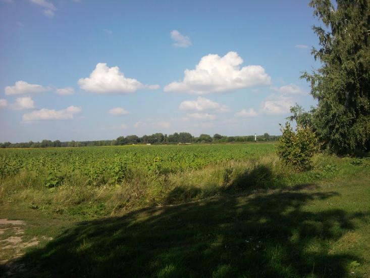 Терехівка з panoramio.com - Тереховка