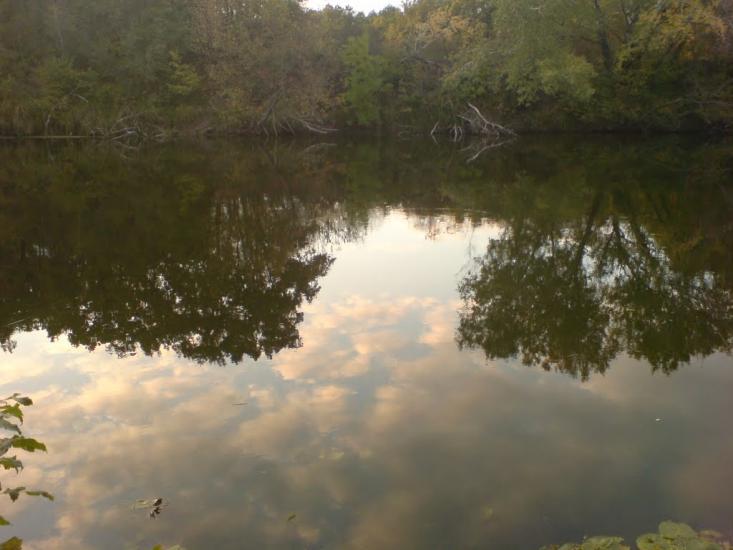 Закітне з panoramio.com - Закотное
