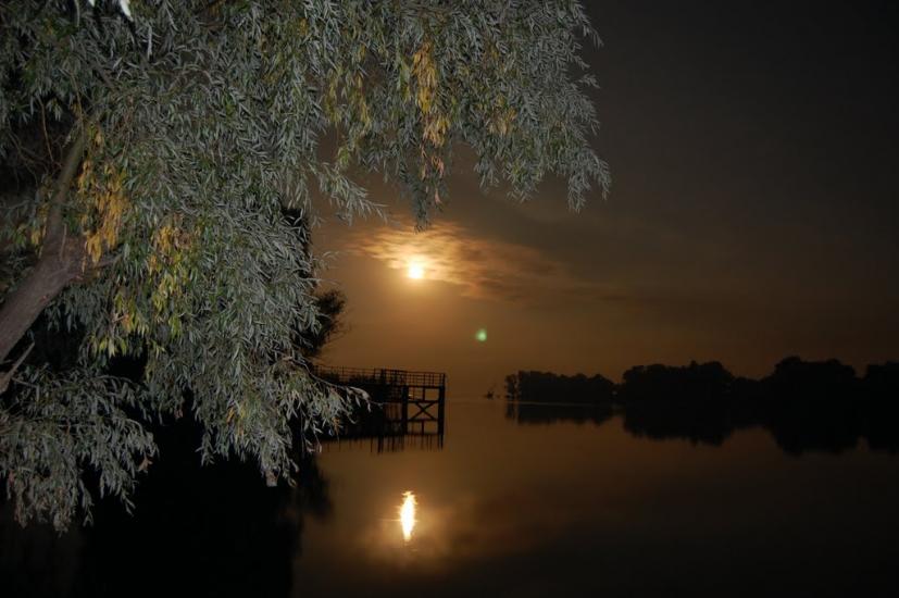 Червона Слобода з panoramio.com - Червона Слобода