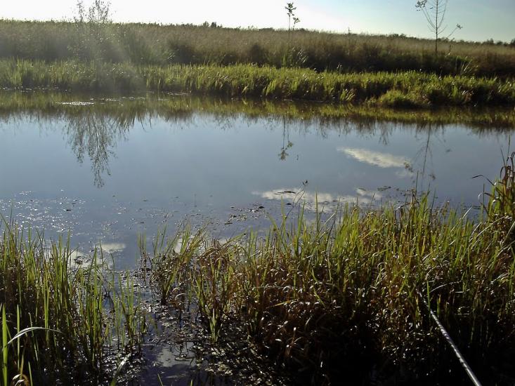 Вилок з panoramio.com - Вилок