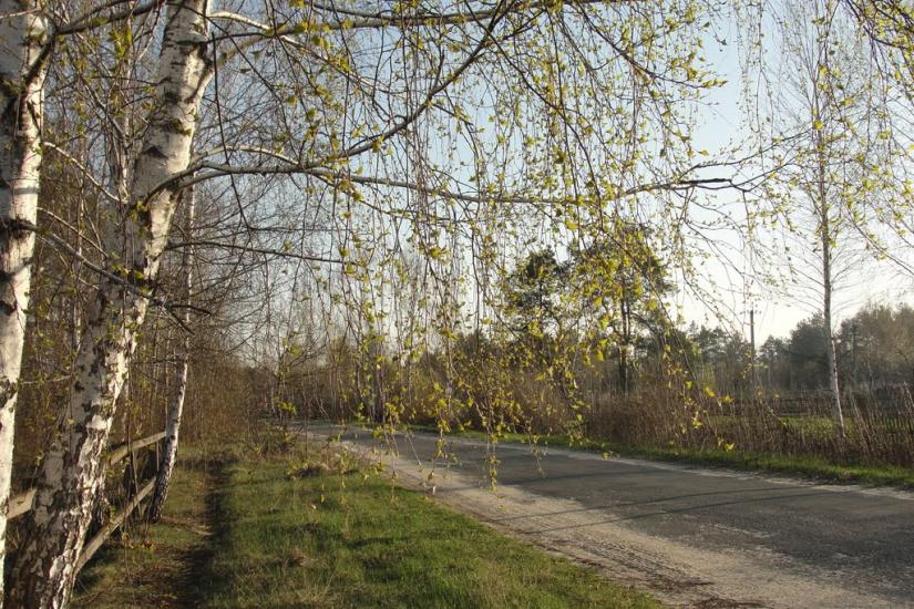 Градиськ з panoramio.com - Градиск