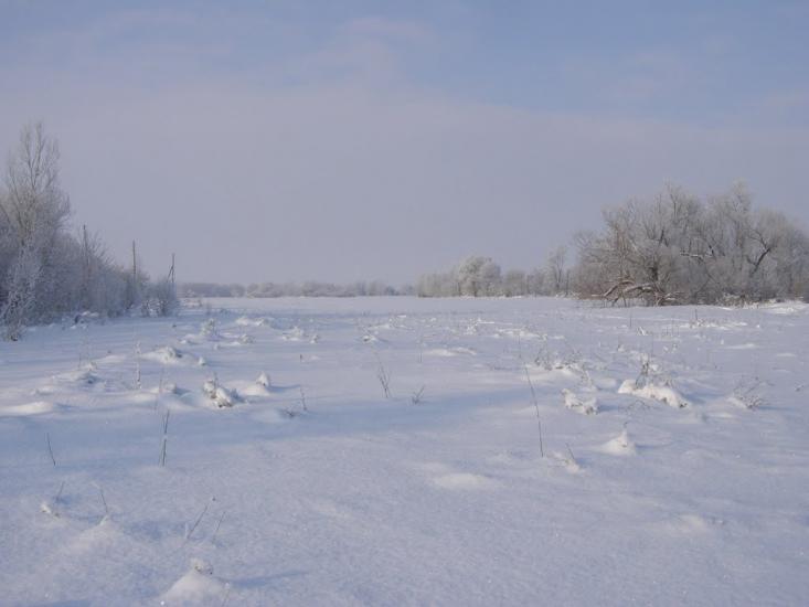 Піддубівка з panoramio.com - Piddubivka