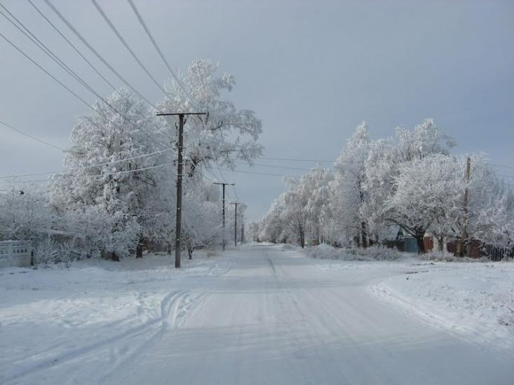 Новодар'ївка з panoramio.com - Новодар'ївка