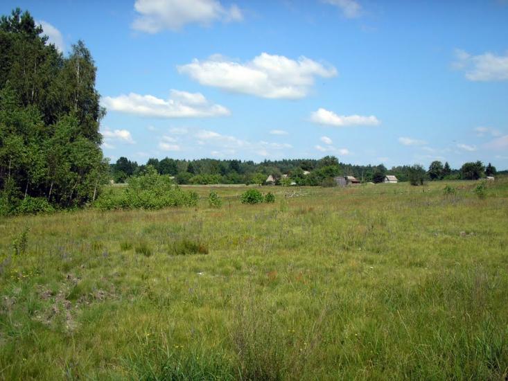 Рихальське з panoramio.com - Рыхальское