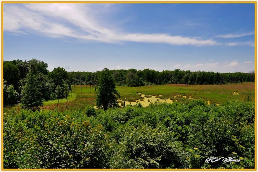 Дронівка з panoramio.com - Dronivka