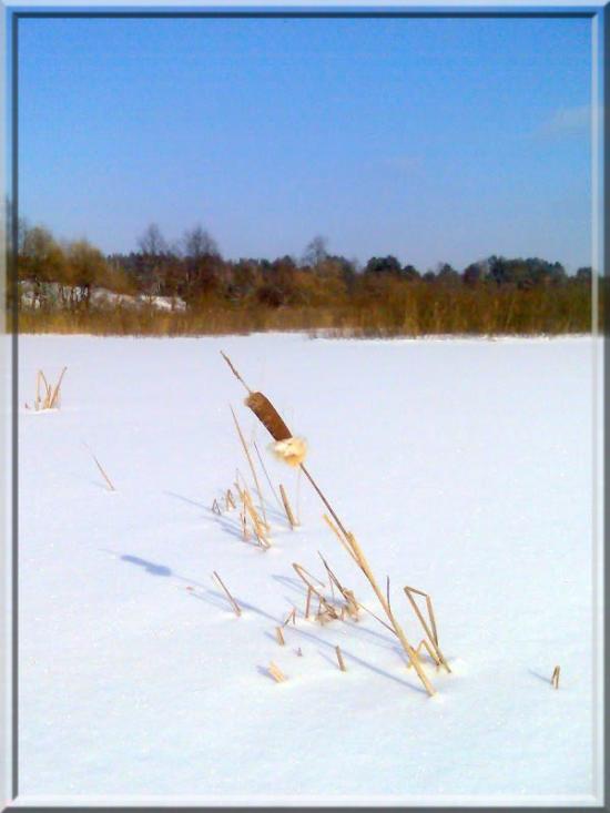Кушкине з panoramio.com - Кушкино