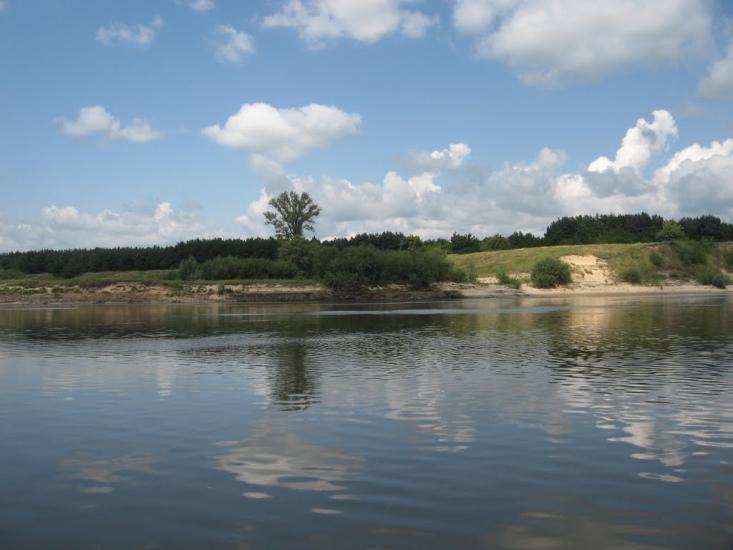 Новосілки з panoramio.com - Новосілки