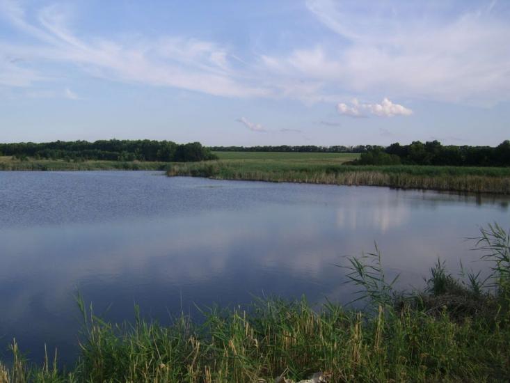 Лісна Поляна з panoramio.com - Лісна Поляна
