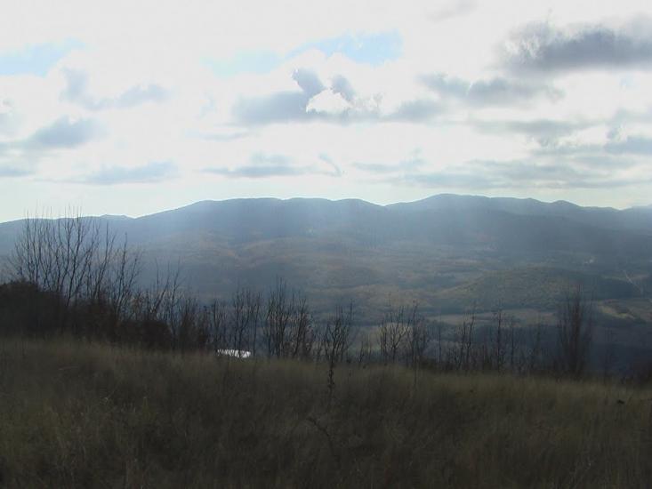 Земляничне з panoramio.com - Земляничное