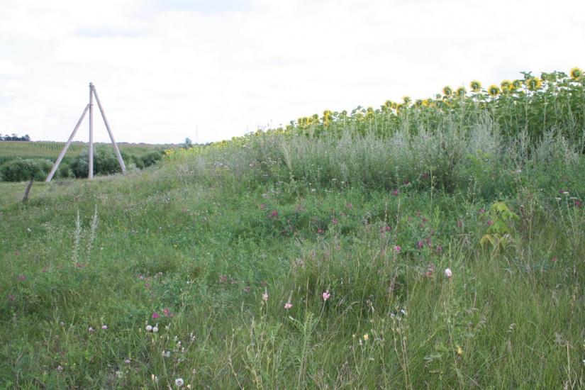 Плетений Ташлик з panoramio.com - Плетений Ташлик