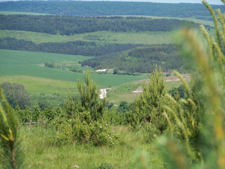 Квіткове з panoramio.com - Квіткове