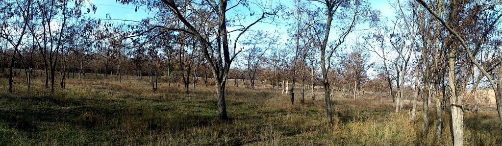 Суворове з panoramio.com - Суворово