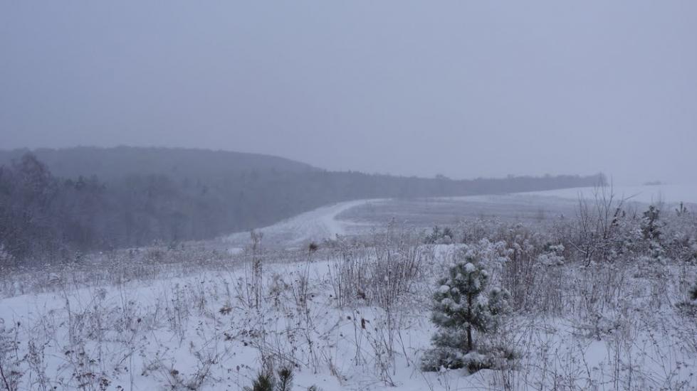 Білашів з panoramio.com - Білашів