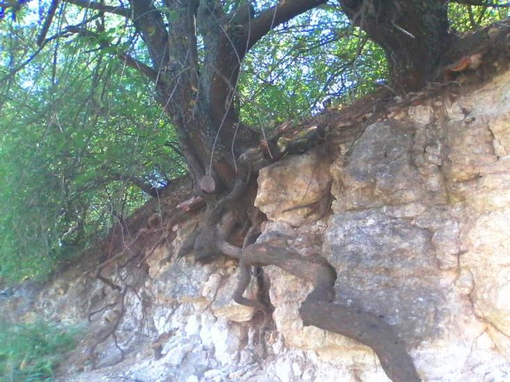 Ясна Поляна з panoramio.com - Ясна Поляна