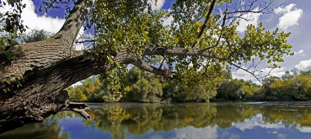 Іскрівка з panoramio.com - Искровка