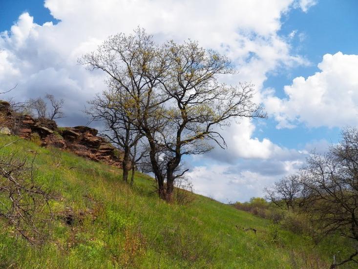 Ольховатка з panoramio.com - Olkhovatka