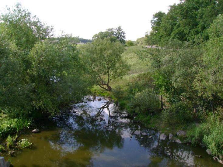 Бейзимівка з panoramio.com - Бейзимівка