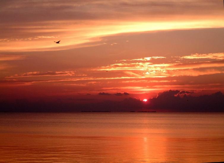 Власівка з panoramio.com - Власовка