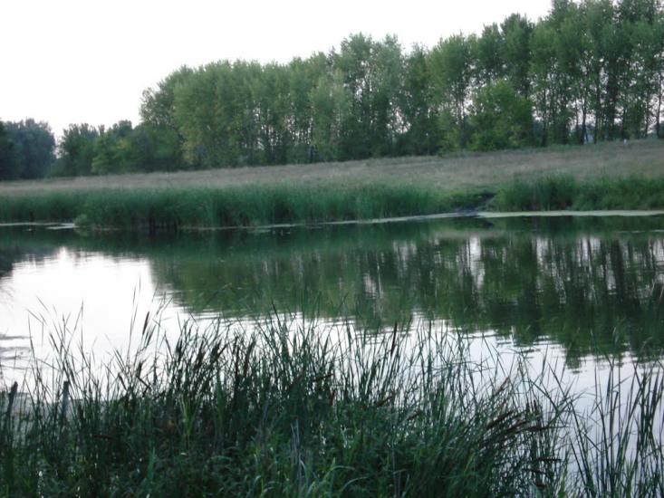 Старобільськ з panoramio.com - Старобельск