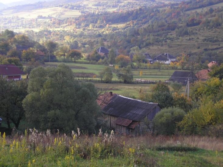 Люта з panoramio.com - Люта