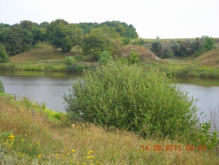 Цапівка з panoramio.com - Цапівка