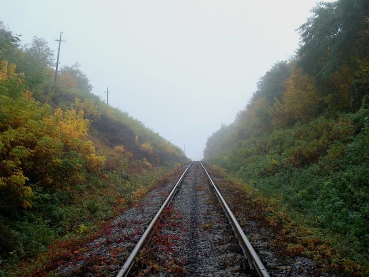 Закупне з panoramio.com - Закупное