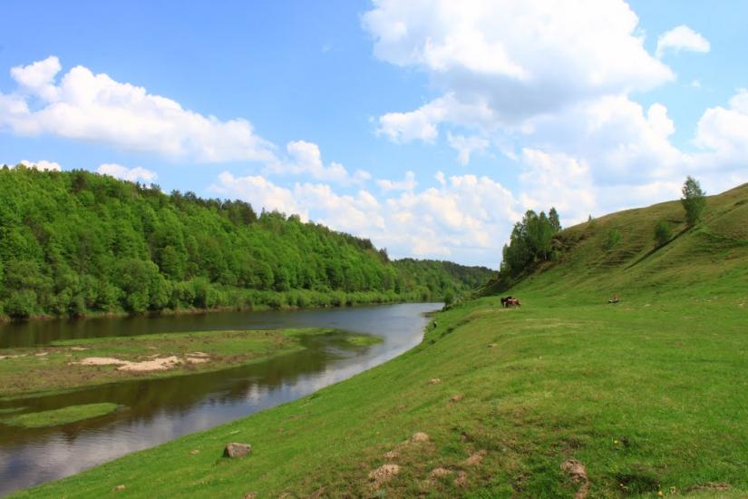 Маринин з panoramio.com - Маринин