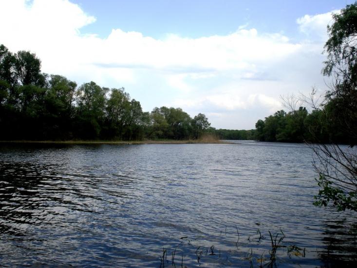 Дзержинське з panoramio.com - Дзержинське