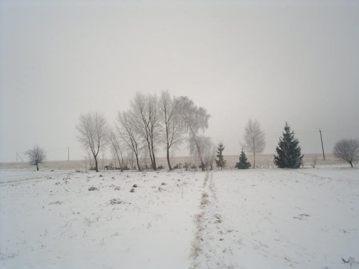 Теліжинці з panoramio.com - Тележинцы