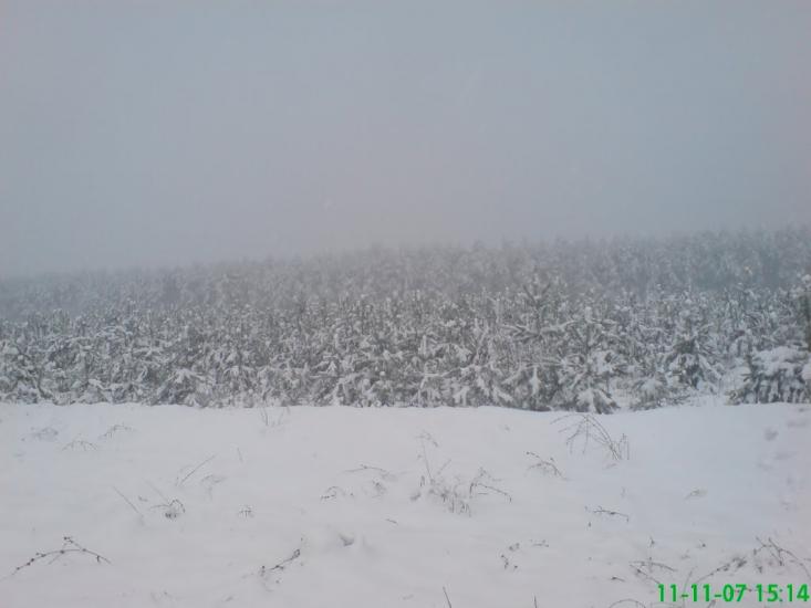 Костюки з panoramio.com - Костюки