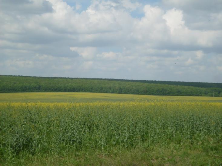 Бубнівка з panoramio.com - Бубнівка