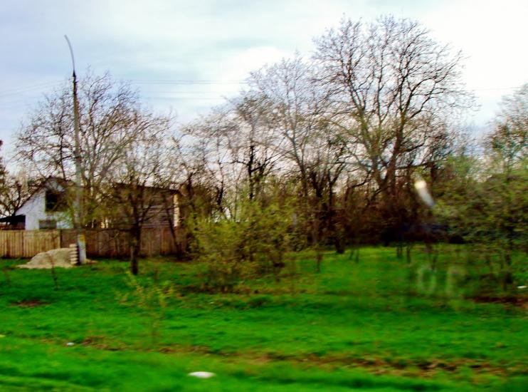 Смільчинці з panoramio.com - Смельчинцы