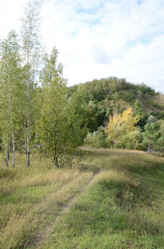 Великі Дмитровичі з panoramio.com - Великие Дмитровичи